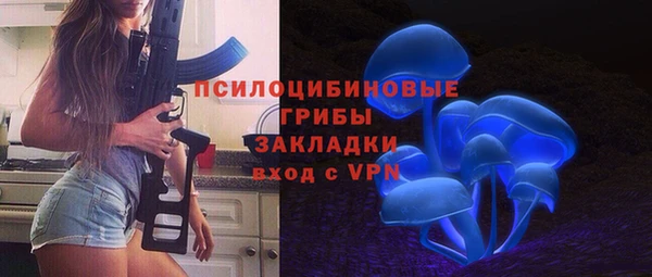 мдпв Сясьстрой