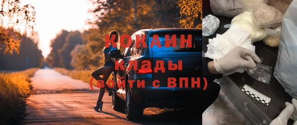 твердый Тында