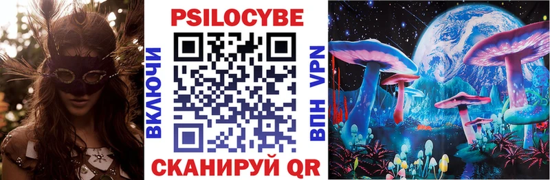 Псилоцибиновые грибы Psilocybine cubensis  Купить  Юрьев-Польский 