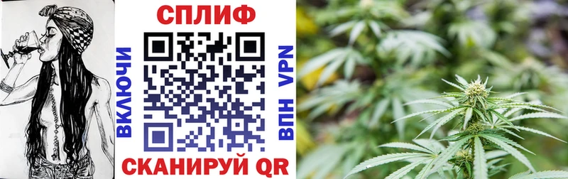 Купить  Юрьев-Польский  Бошки Шишки Ganja 